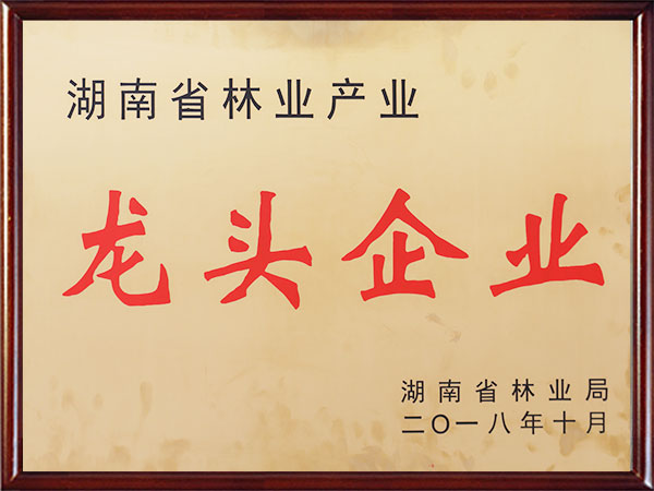 湖南省林業(yè)產(chǎn)業(yè)龍頭企業(yè)